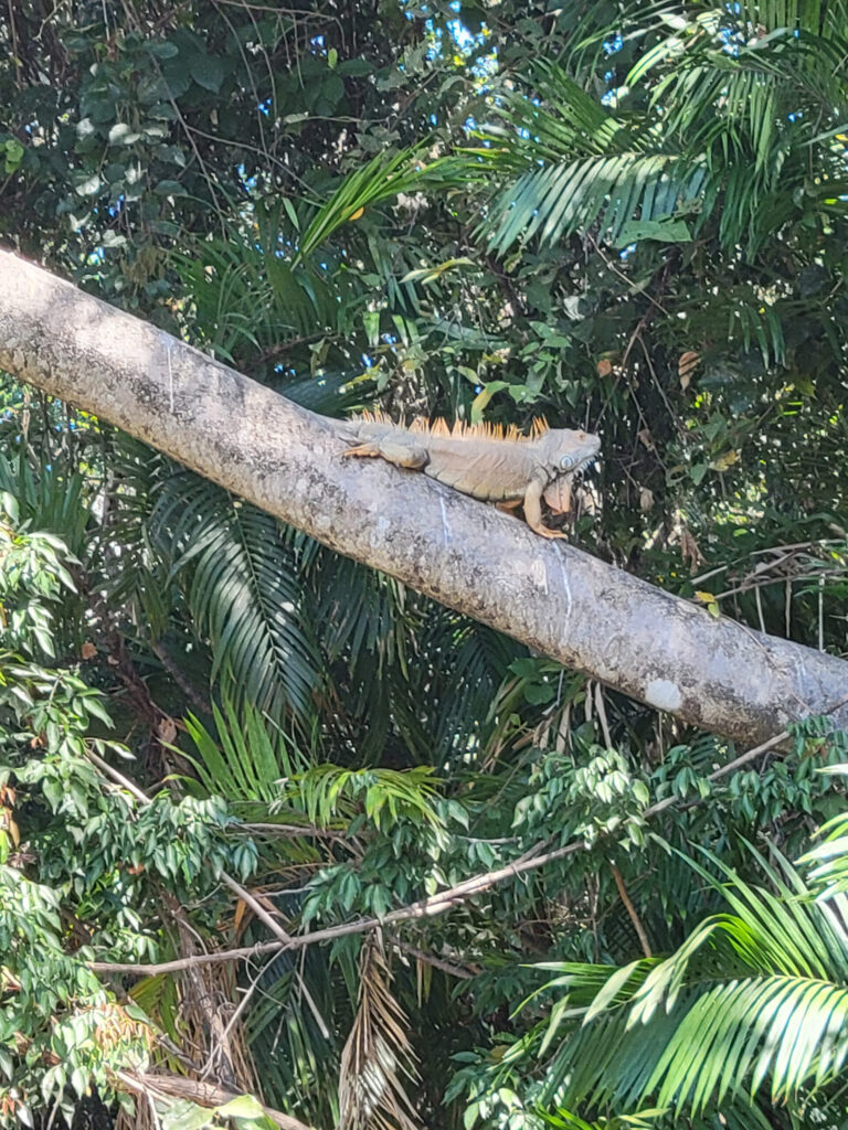 20211231 114424 scaled