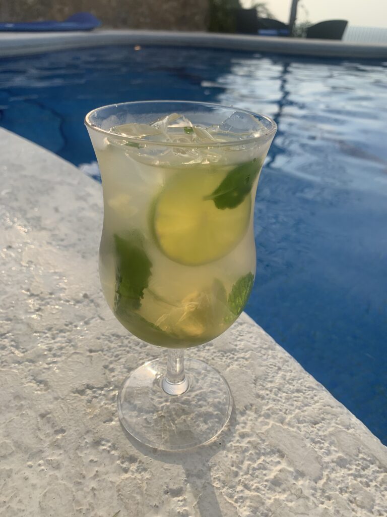 mojito at villa puerto escondido